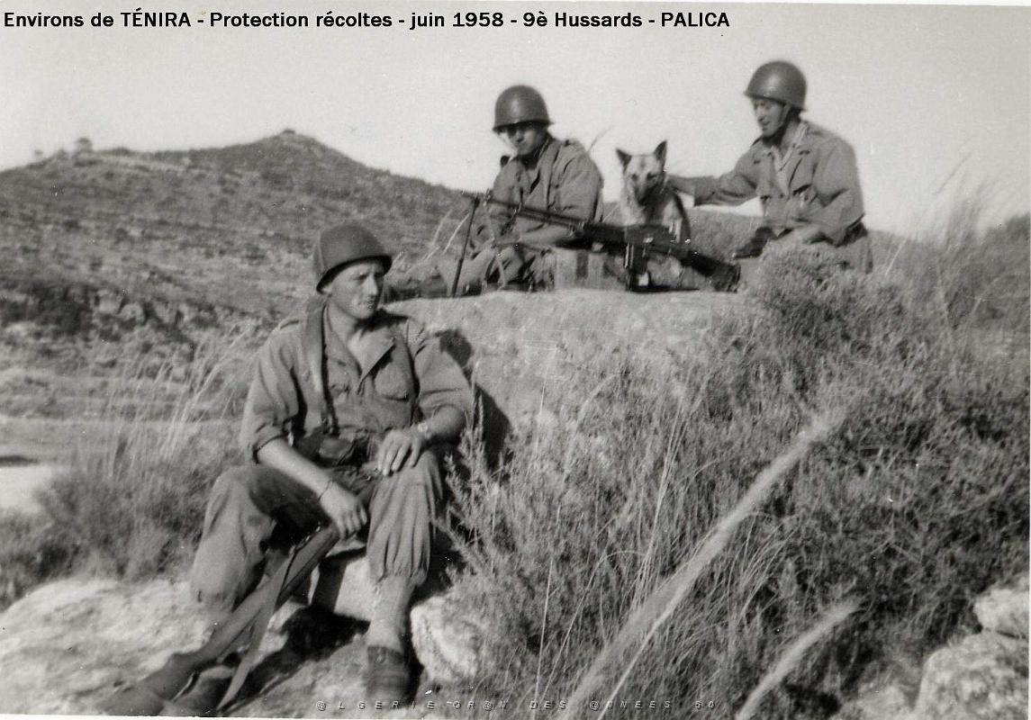 Palica - E- Divers 002.JPG